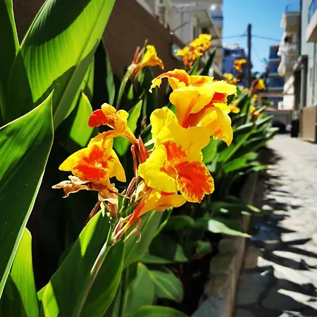 Europa עיר רודוס